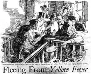 Yellow fever drawing